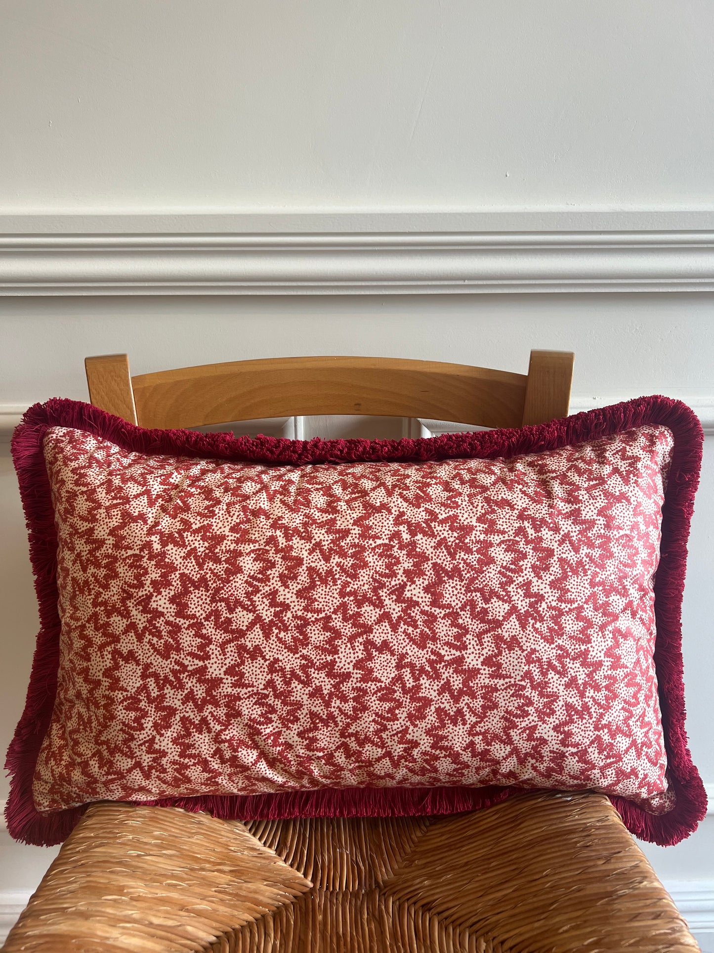 Luxury cushions in Warner Textile Archive / Claremont Nathalie fabric in red with brush fringe