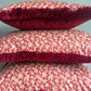 Luxury cushions in Warner Textile Archive / Claremont Nathalie fabric in red with brush fringe