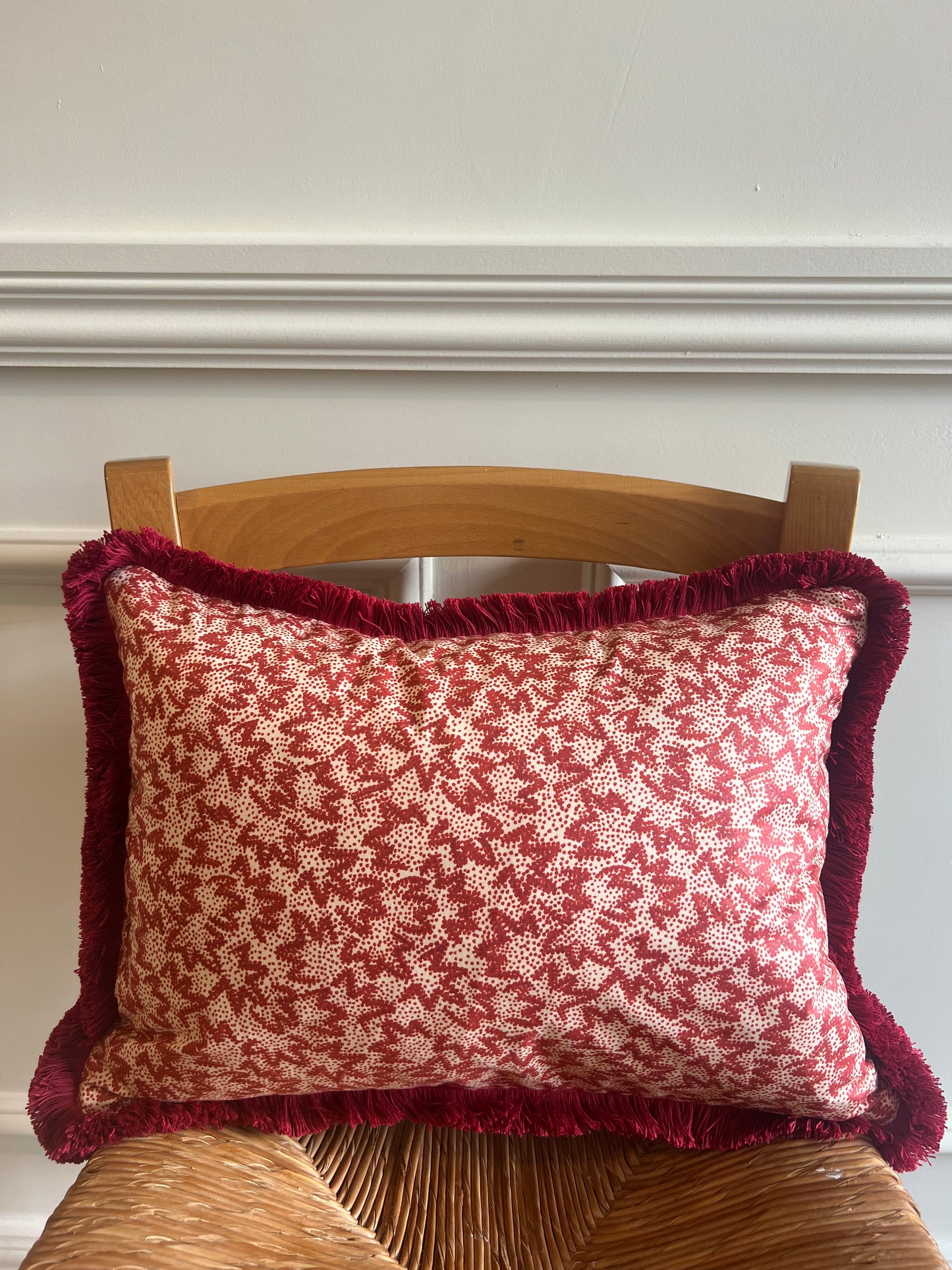 Luxury cushions in Warner Textile Archive / Claremont Nathalie fabric in red with brush fringe