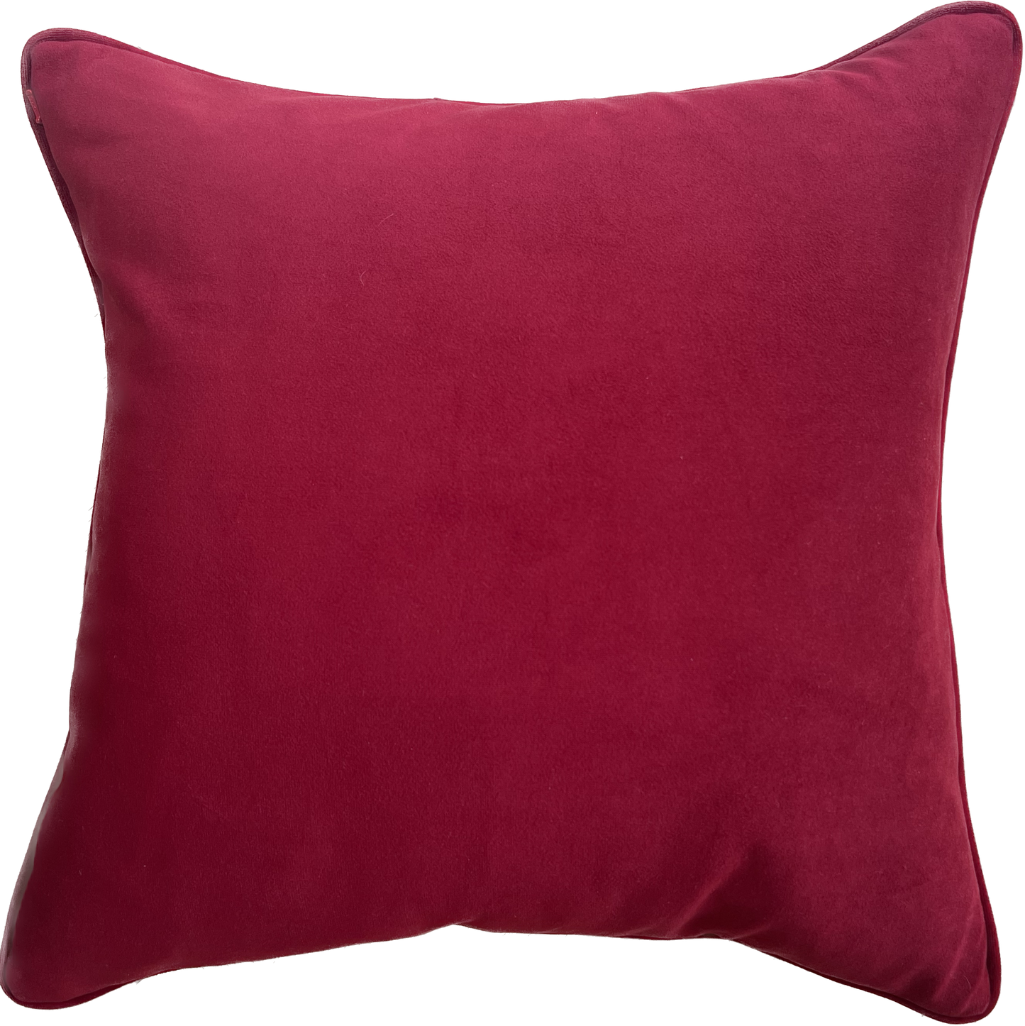 Ruby Lost & Found Velvet Piped Cushion